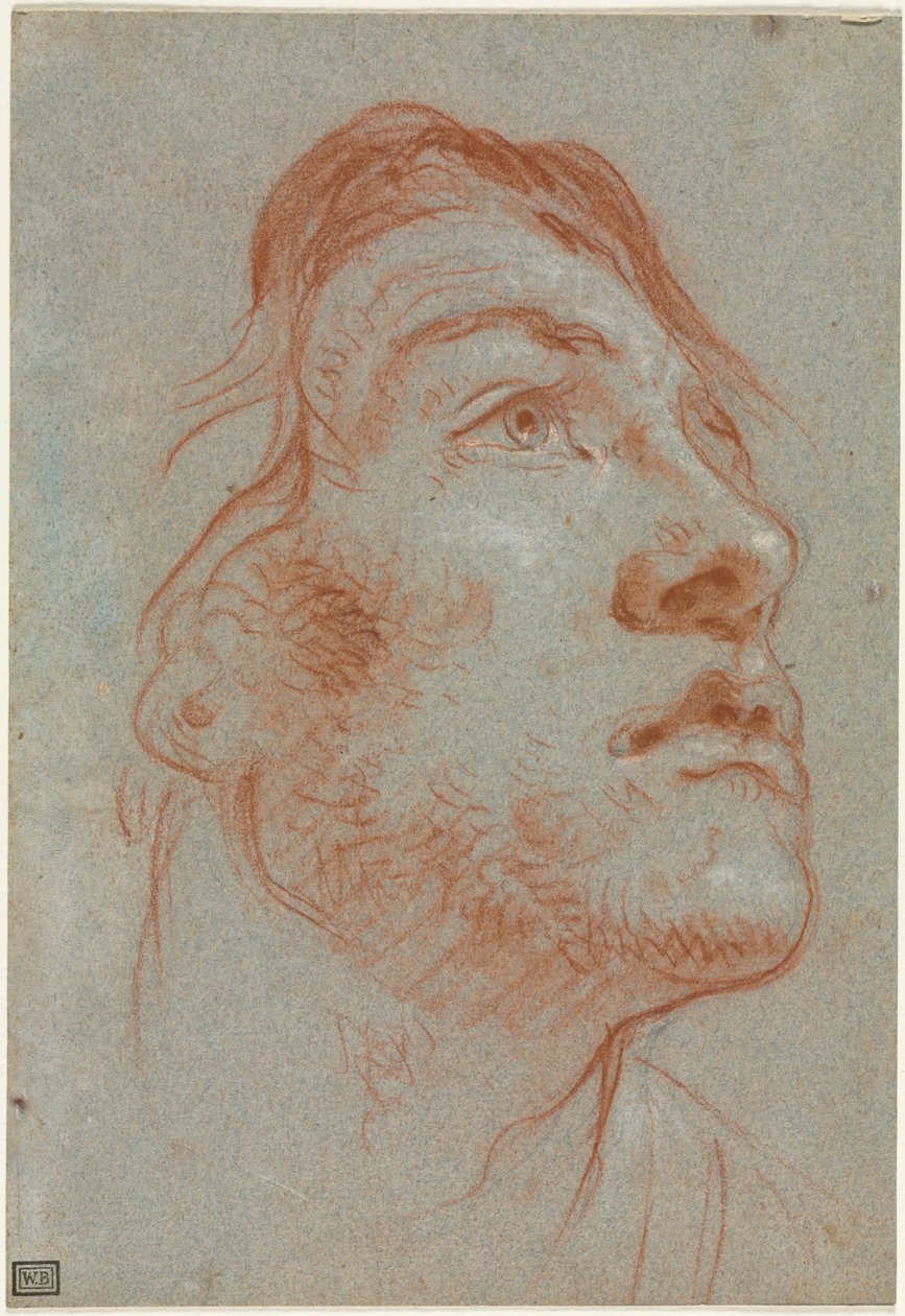 Hlava mladého muže dívá se nahoru doprava od Giovanni Battista Tiepolo