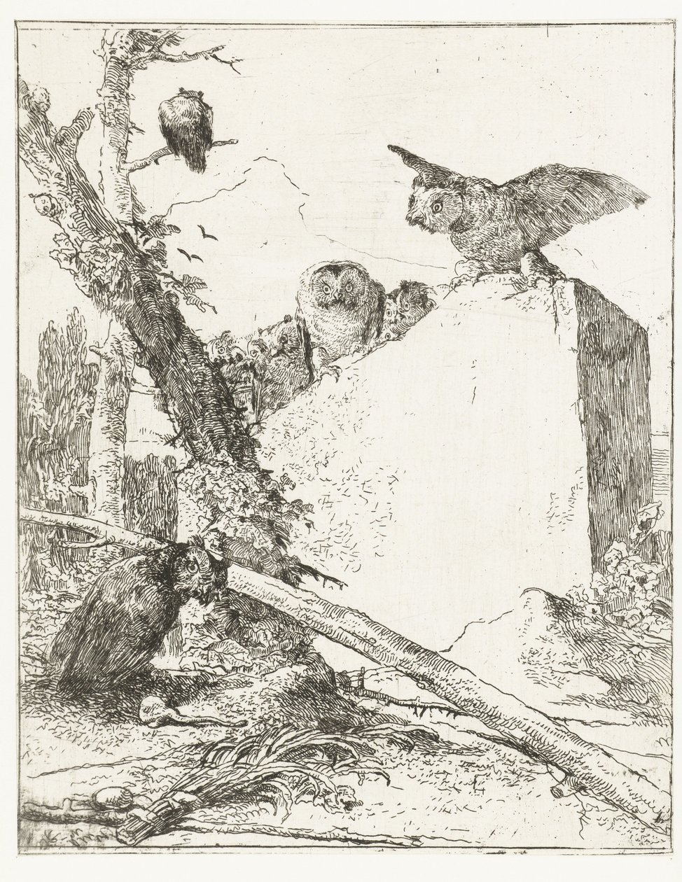 Titulní tisk pro Scherzi di fantasia se sovami u kamene Scherzi di Fantasia (název série) od Giovanni Battista Tiepolo