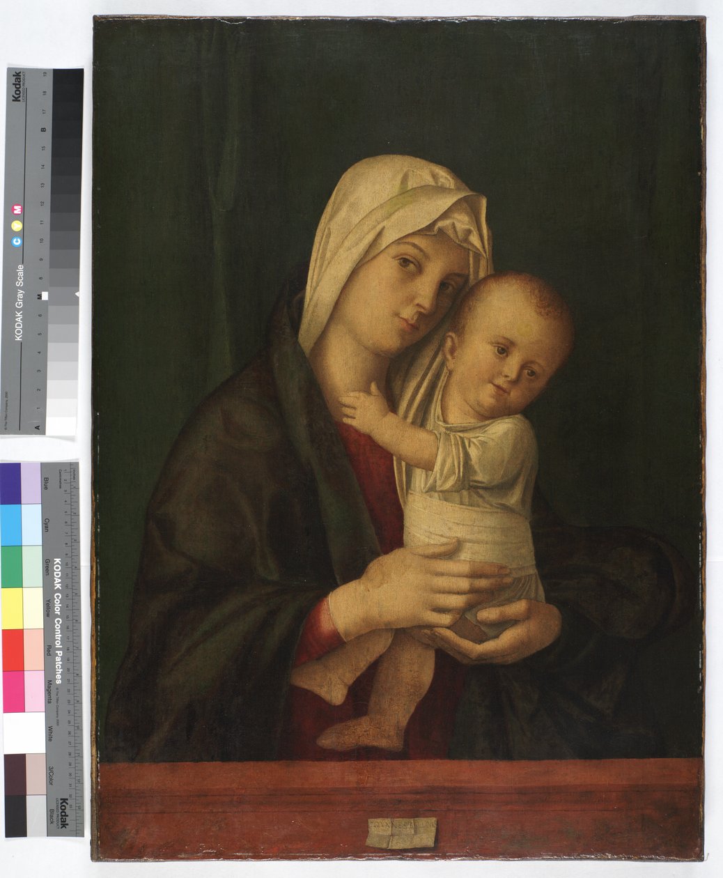 Madonna a dítě, kolem roku 1489 (olej na plátně) od Giovanni Bellini