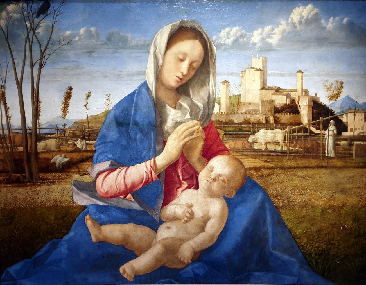 Madona z louky od Giovanni Bellini