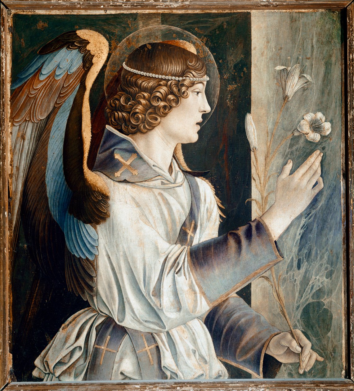 Polyptych St Vincent Ferrier: Anděl zvěstování (Polyptych St Vincent Ferrer: Angel of the Annunciation) Malba Giovanni Bellini dit il Giambellino (asi 1432-1516) 1464-1468 Rozměr 72x67 cm Benátský kostel Santi Giovanni e Paolo od Giovanni Bellini