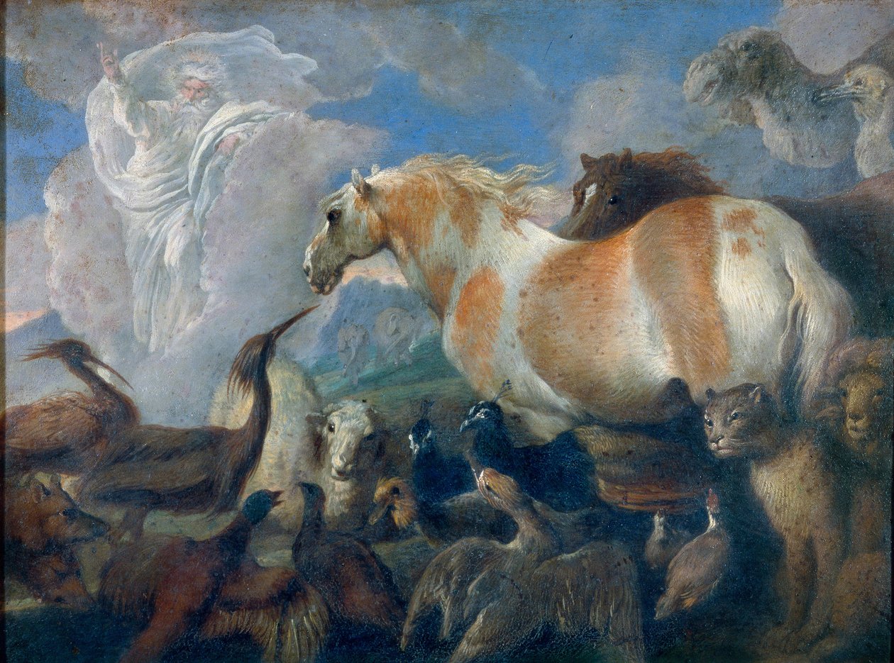 Stvoření (Genesis). Obraz Giovanni Benedetto Castiglione (1610-1665), olej na plátně, polovina 17. století. italské umění (Janov) od Giovanni Benedetto Castiglione