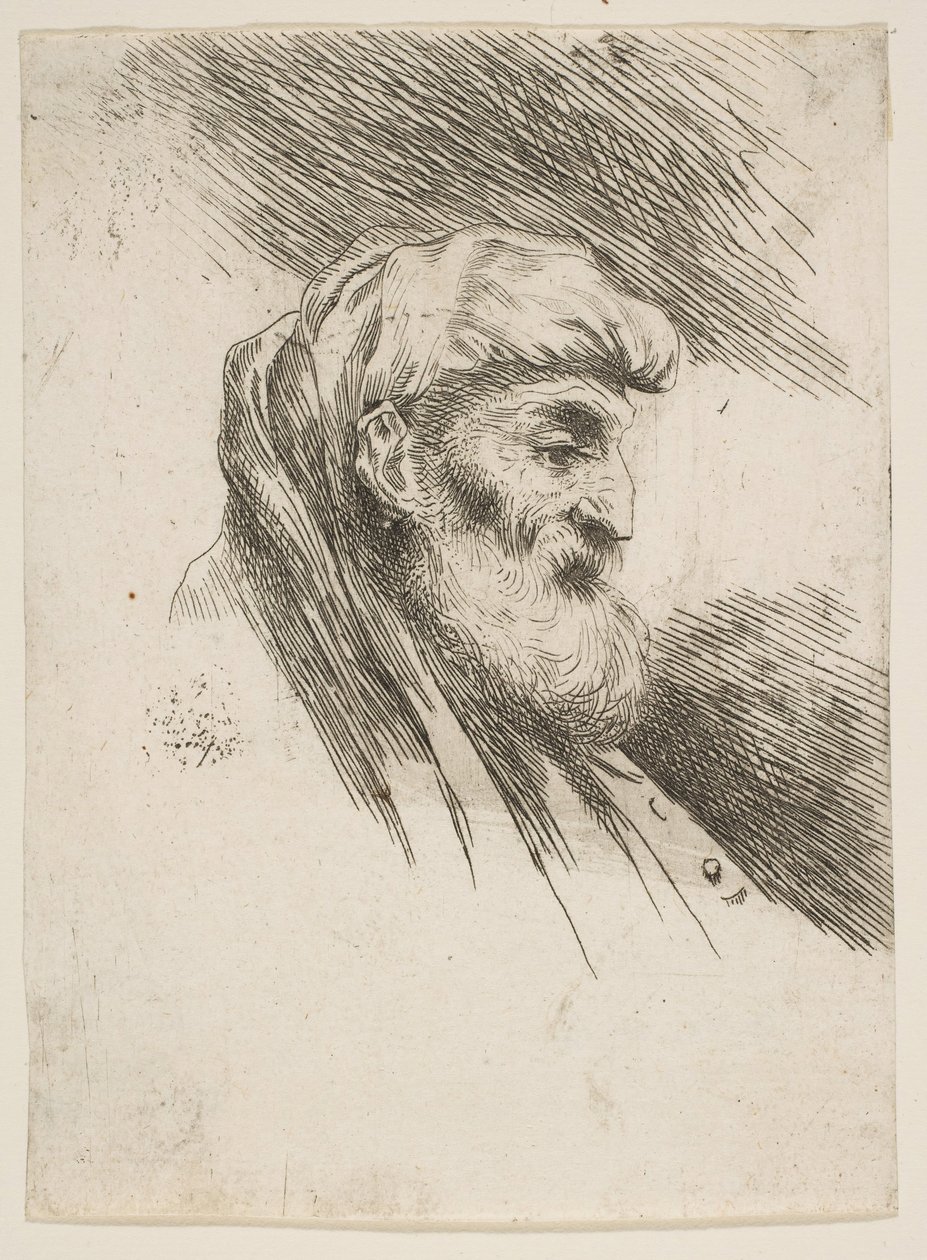 Hlava starého vousatého muže obrácená doprava, ze série Small Heads in Orien..., ca. 1645-1650. od Giovanni Benedetto Castiglione