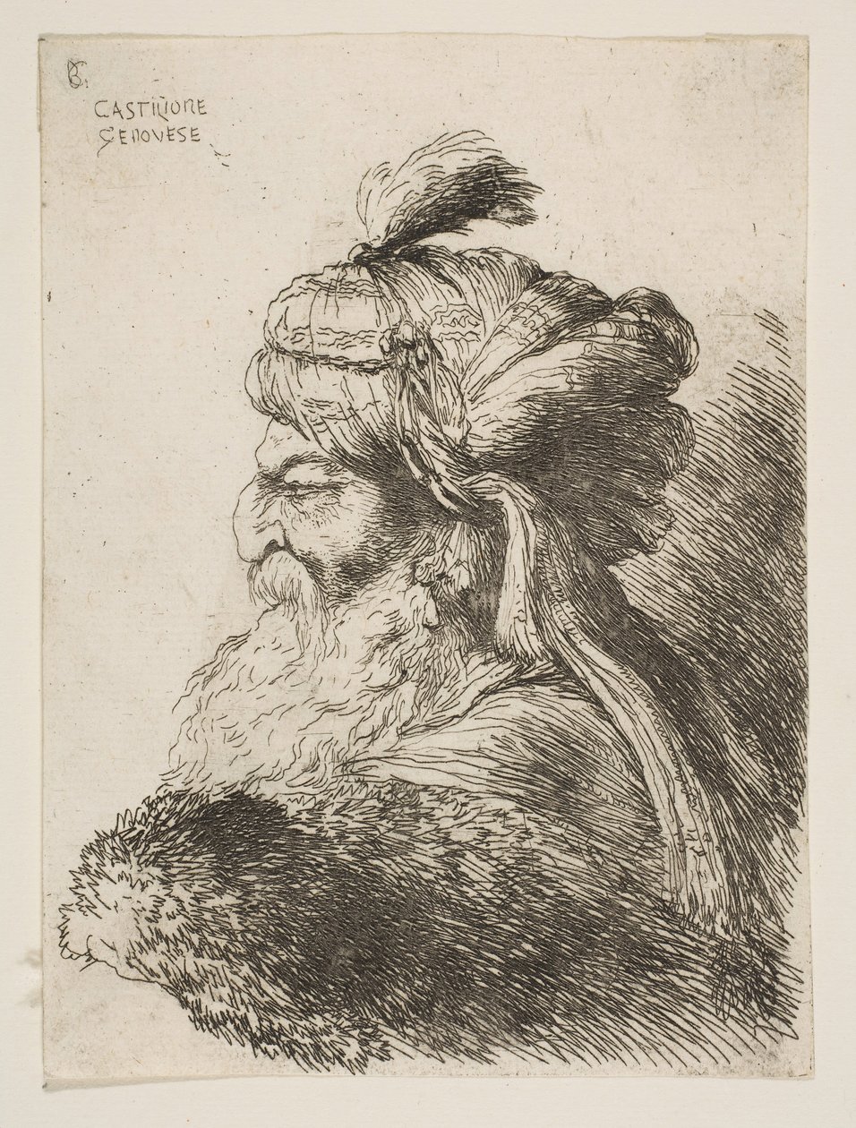 Hlava starého muže s turbanem obráceným doleva, ze série Malých hlav v ..., ca. 1645-1650. od Giovanni Benedetto Castiglione