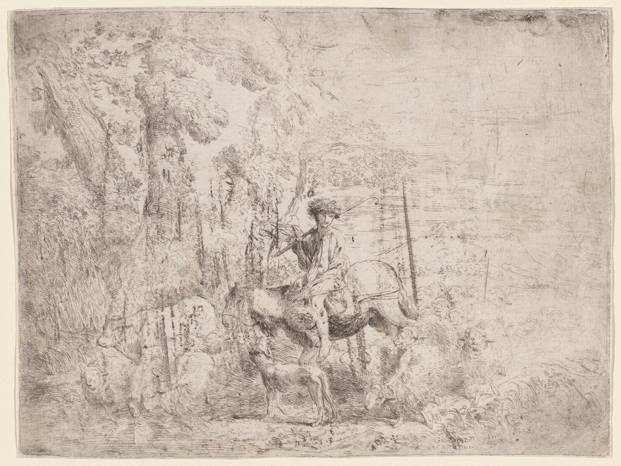 Mladý ovčák na koni od Giovanni Benedetto Castiglione