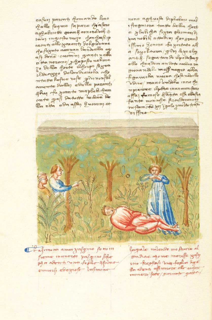 Dekameron, Rostlina mudrců - Pasquinova smrt , Čtvrtý den, povídka 7. od Giovanni Boccaccio