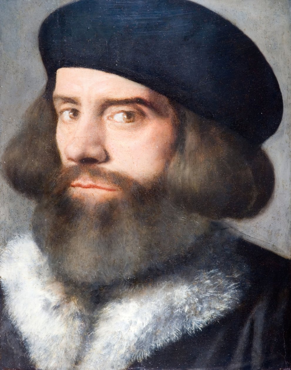 Hlava vousatého muže, 1537. od Giovanni Buonconsiglio