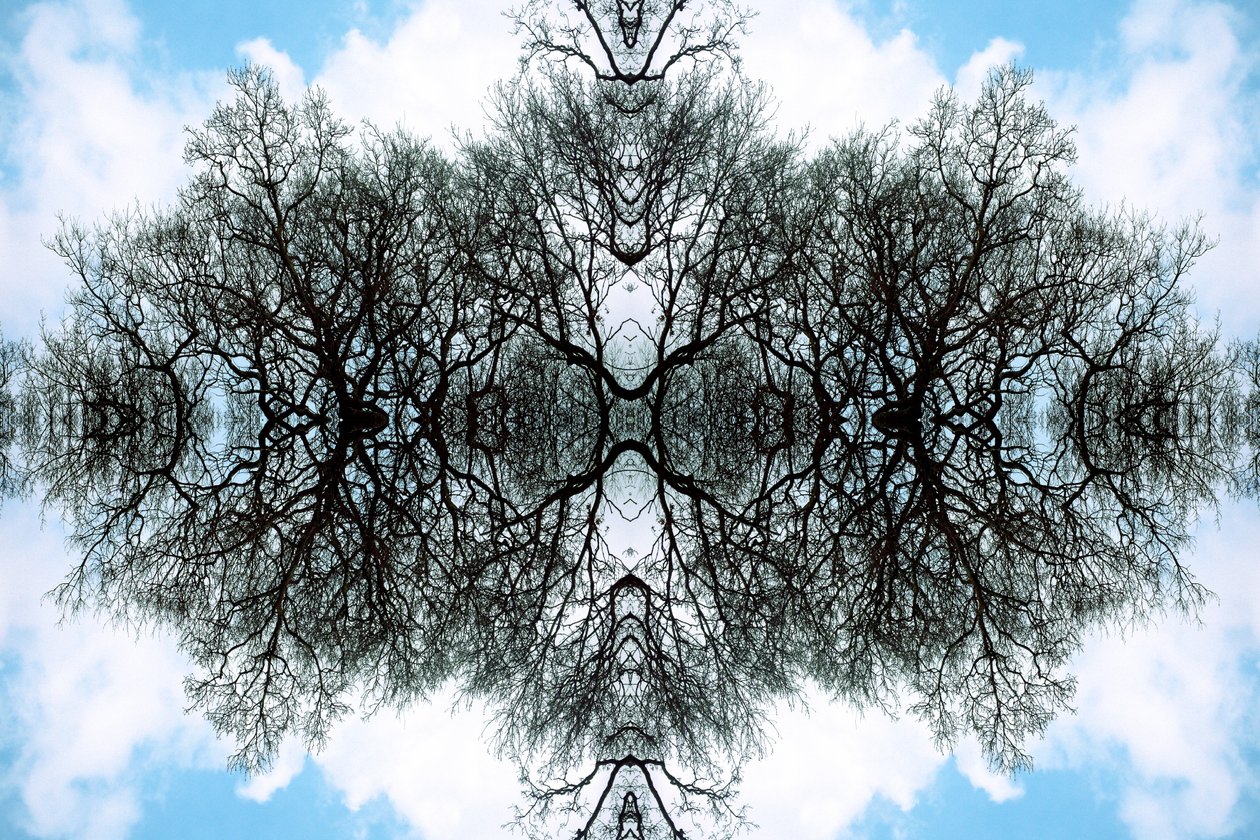 Unnatural 100 (digitálně upravená fotografie) od Giovanni Cafagna