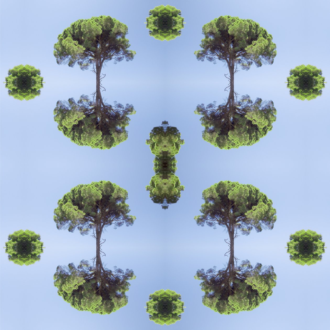 Unnatural 118 (digitálně upravená fotografie) od Giovanni Cafagna
