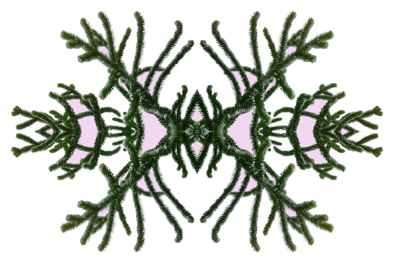 Unnatural 168 (digitálně upravená fotografie) od Giovanni Cafagna