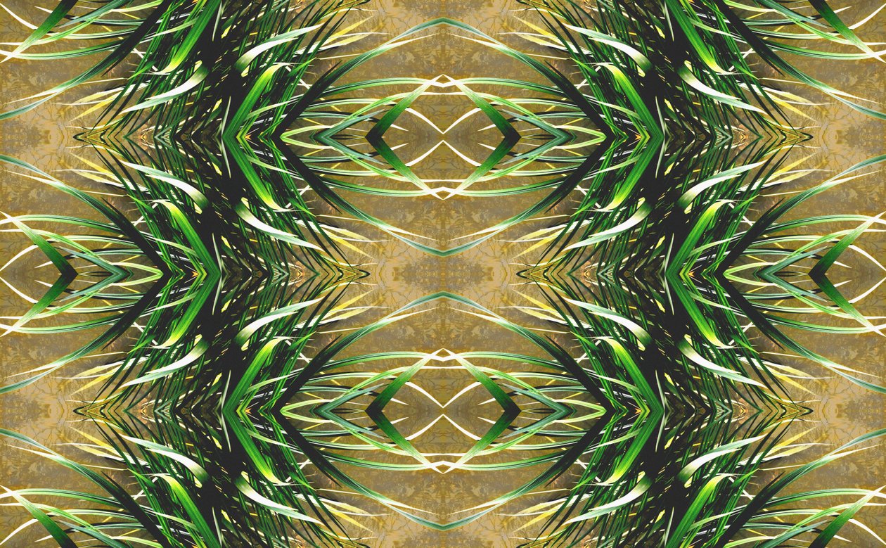 Unnatural 16 (digitálně upravená fotografie) od Giovanni Cafagna