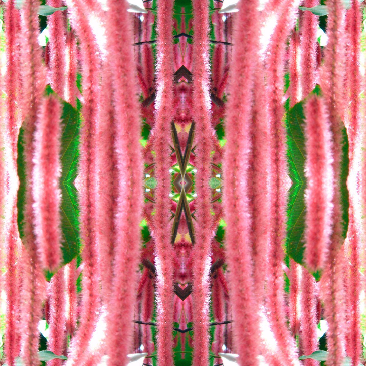 Unnatural 172 (digitálně upravená fotografie) od Giovanni Cafagna