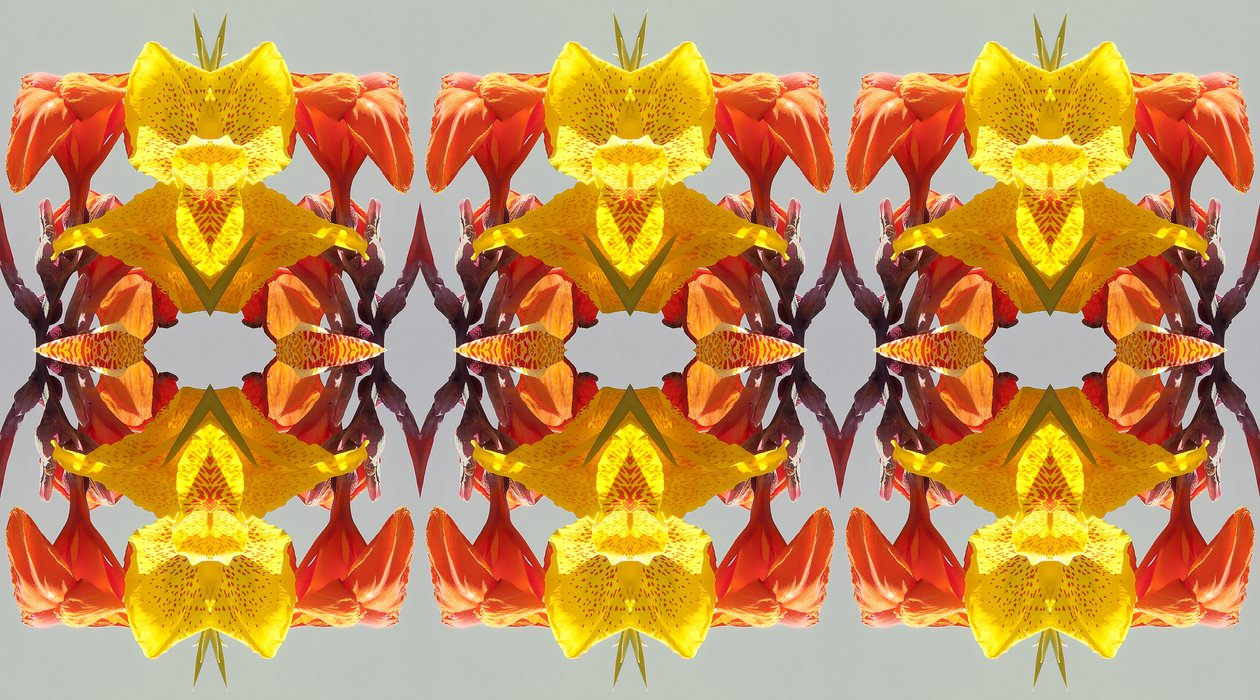 Unnatural 190 (digitálně upravená fotografie) od Giovanni Cafagna