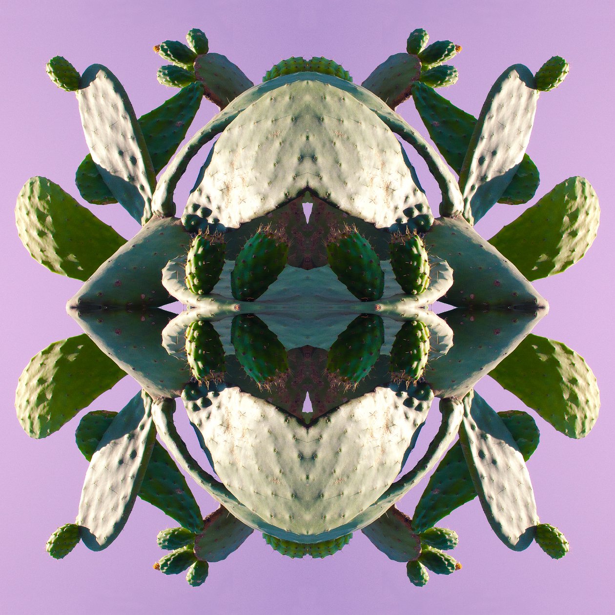 Unnatural 196 (digitálně upravená fotografie) od Giovanni Cafagna