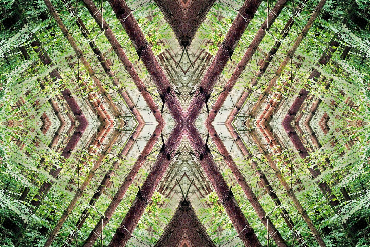 Unnatural 37 (digitálně upravená fotografie) od Giovanni Cafagna