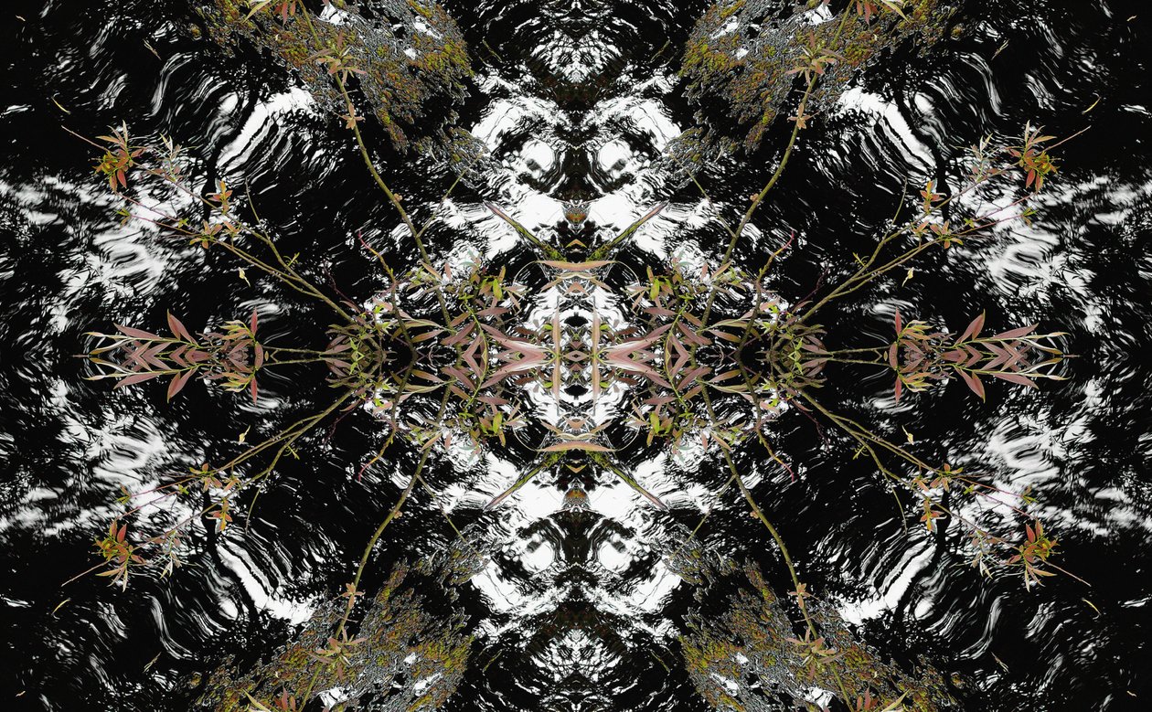 Unnatural 37 (digitálně upravená fotografie) od Giovanni Cafagna