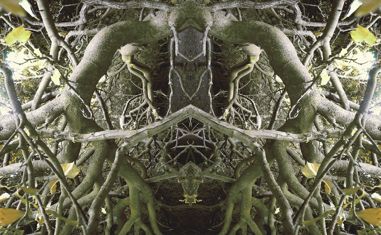 Unnatural 41 (digitálně upravená fotografie) od Giovanni Cafagna