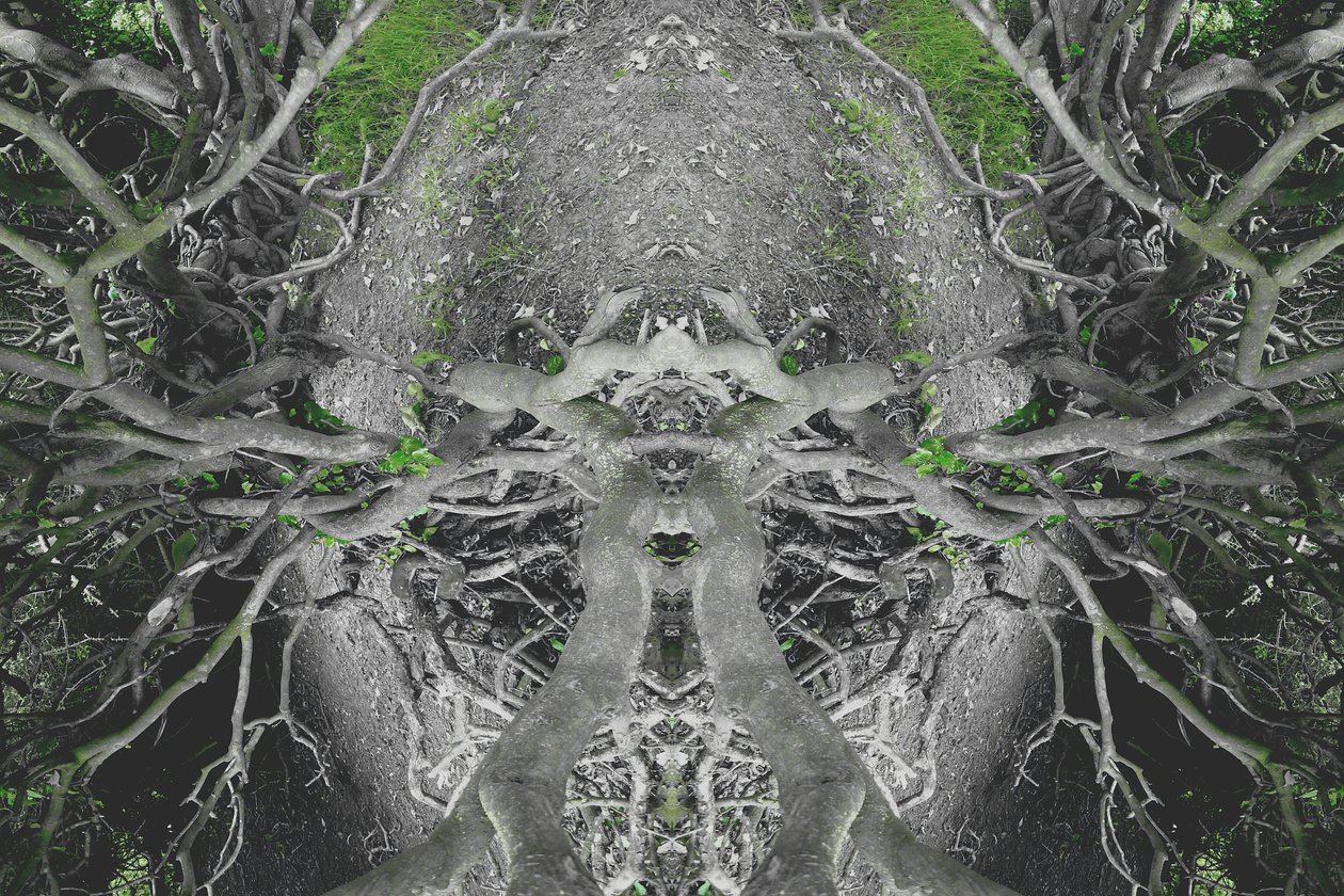 Unnatural 42 (digitálně upravená fotografie) od Giovanni Cafagna