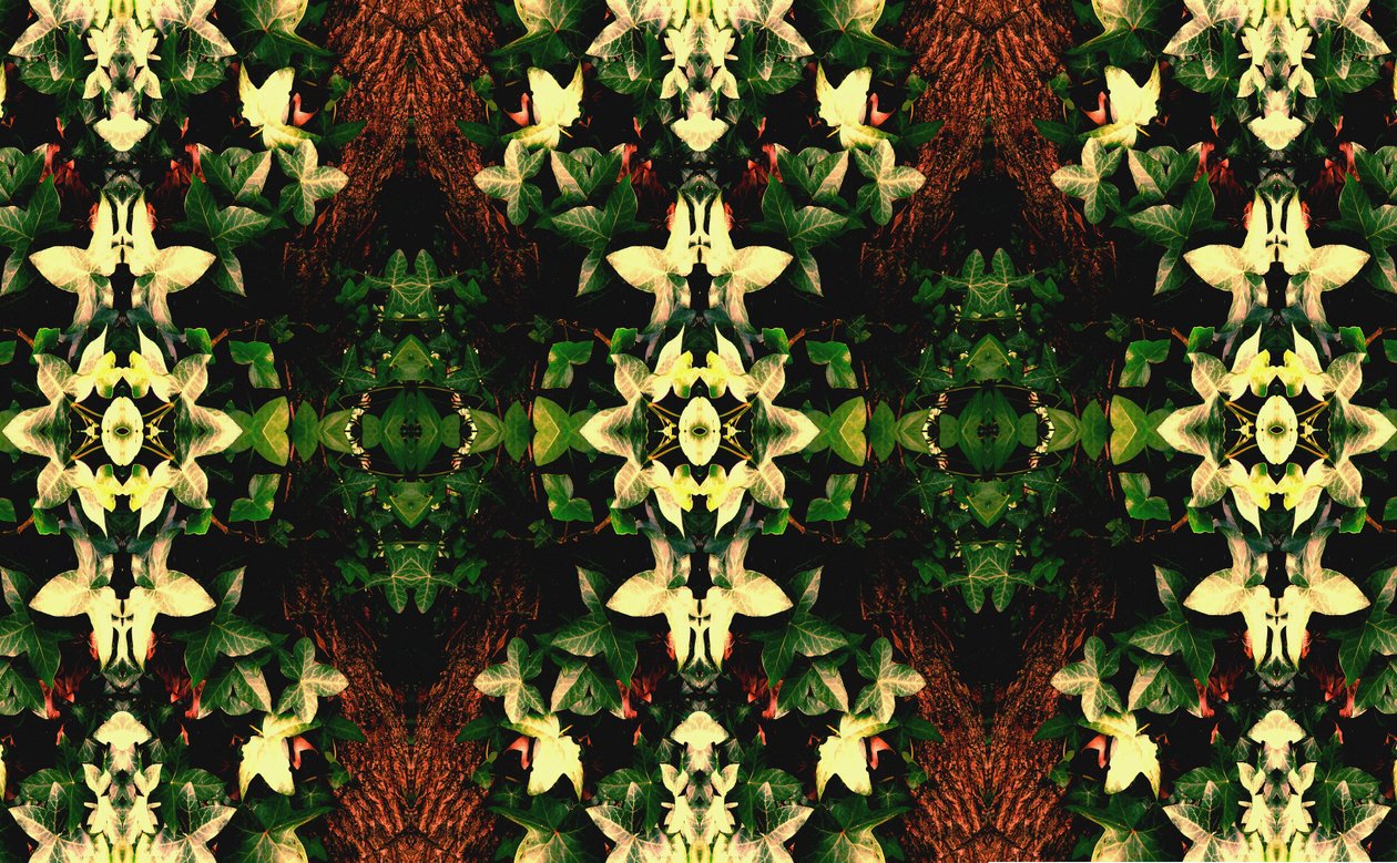 Unnatural 43 (digitálně upravená fotografie) od Giovanni Cafagna