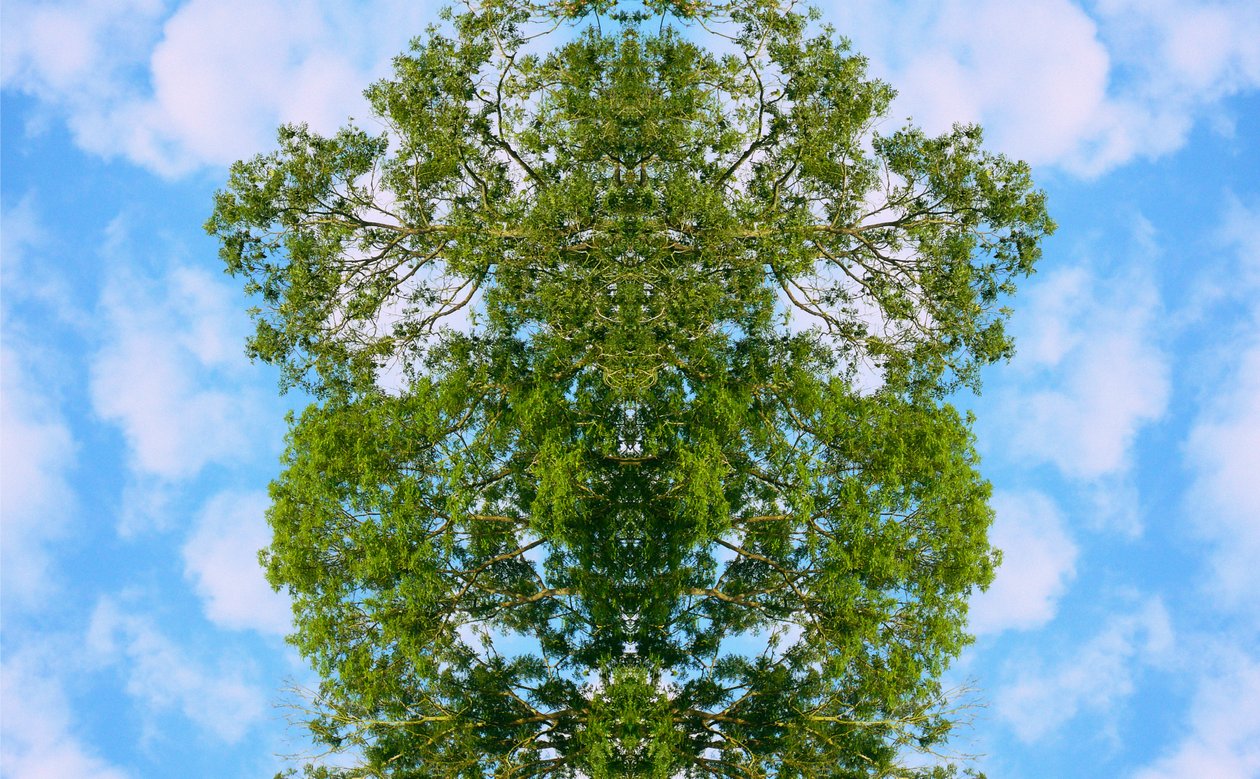 Unnatural 46 (digitálně upravená fotografie) od Giovanni Cafagna