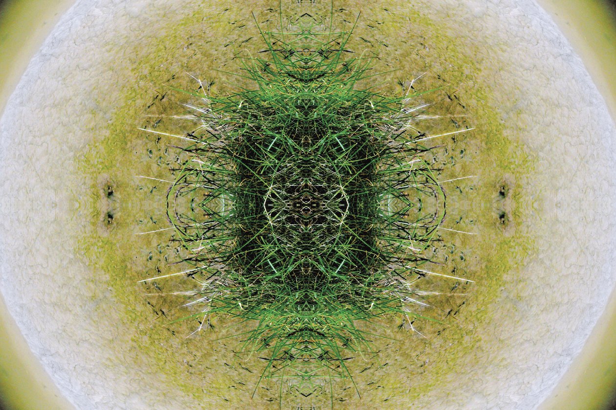 Nepřirozené 6.1 (digitálně upravená fotografie) od Giovanni Cafagna