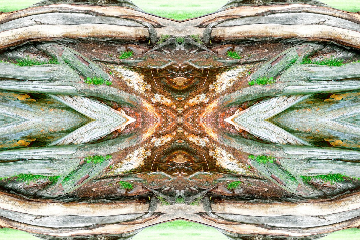 Unnatural 64 (digitálně upravená fotografie) od Giovanni Cafagna