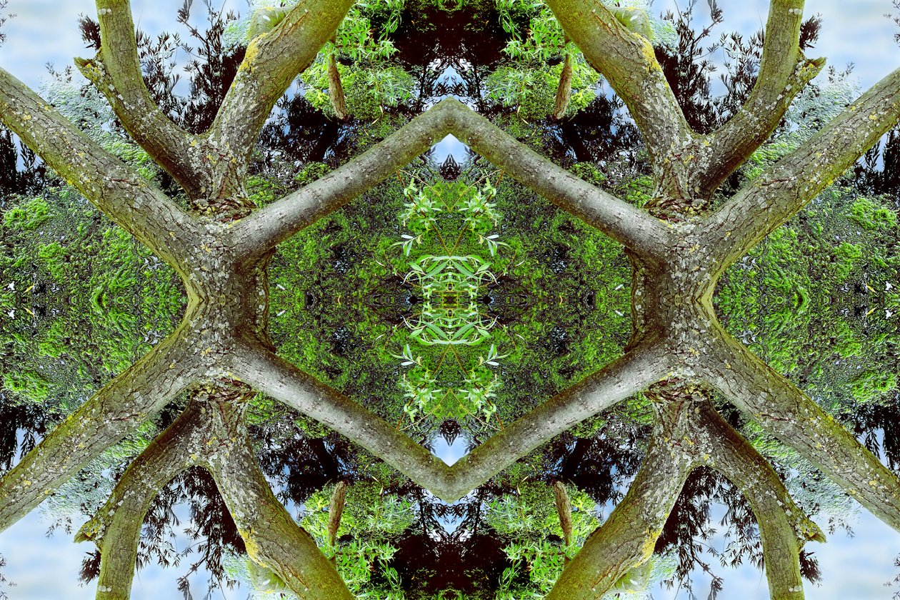 Nepřirozené 65.2 (digitálně upravená fotografie) od Giovanni Cafagna
