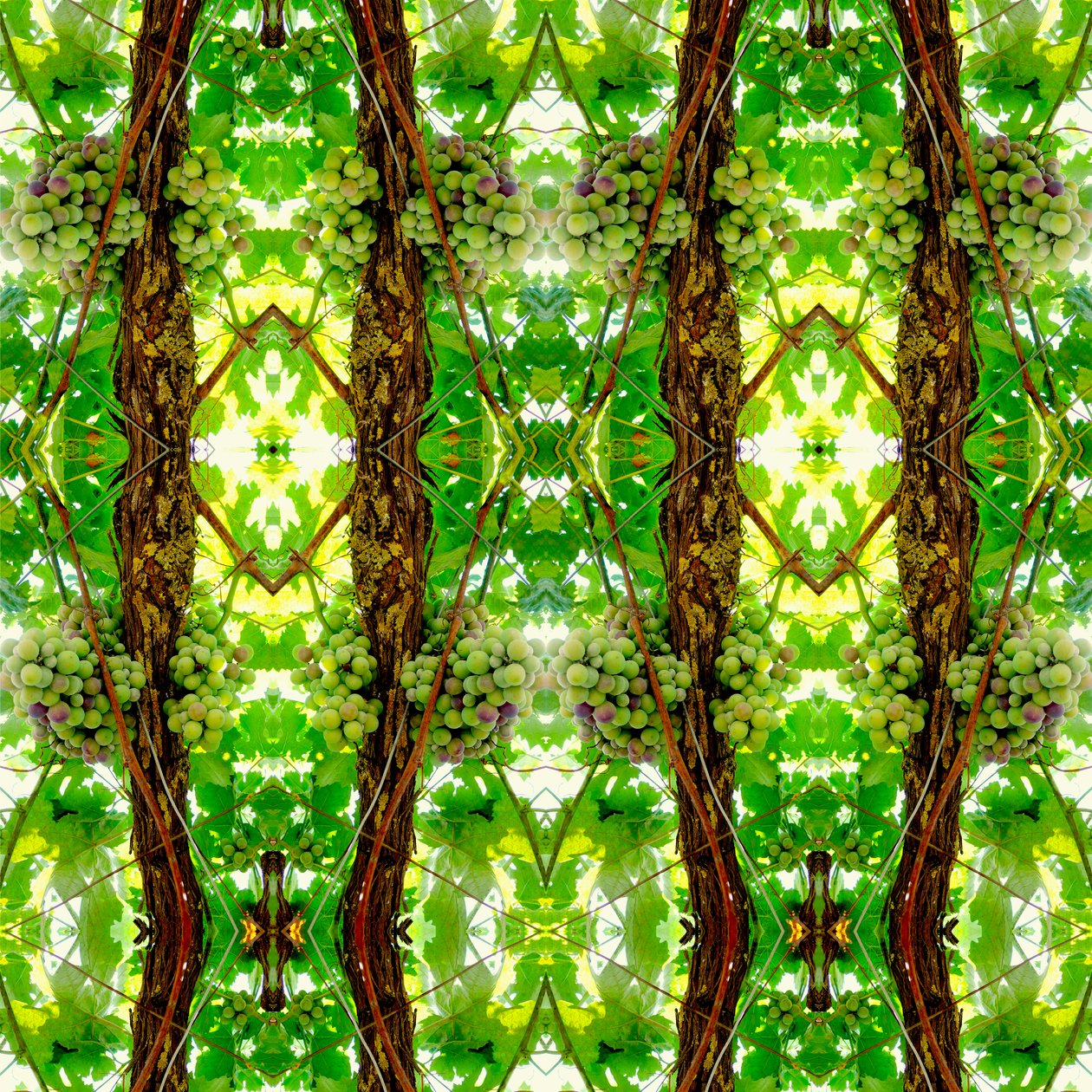 Unnatural 74 (digitálně upravená fotografie) od Giovanni Cafagna