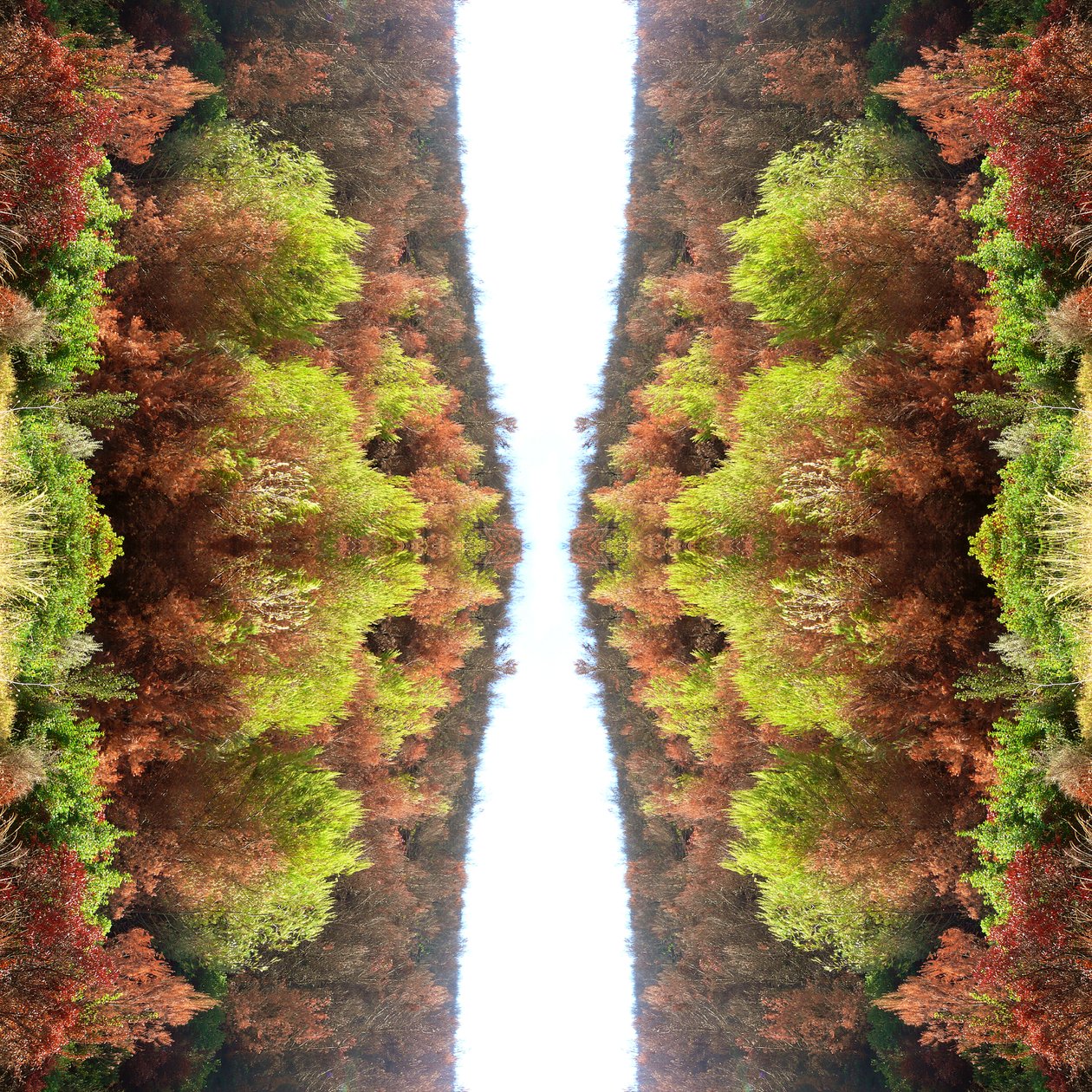 Unnatural 77 (digitálně upravená fotografie) od Giovanni Cafagna