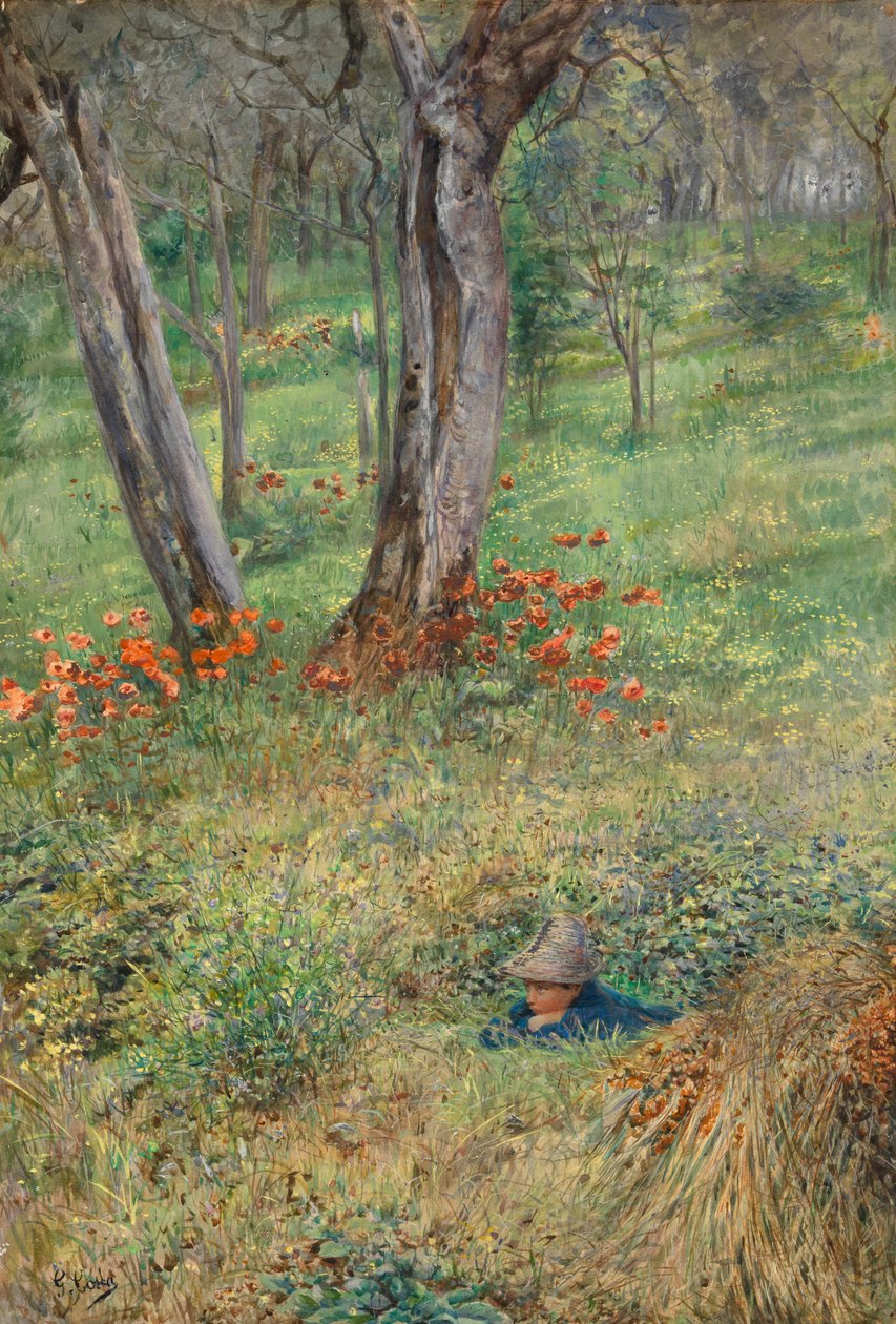 Woodland Hideout (wc na papíře) od Giovanni Costa