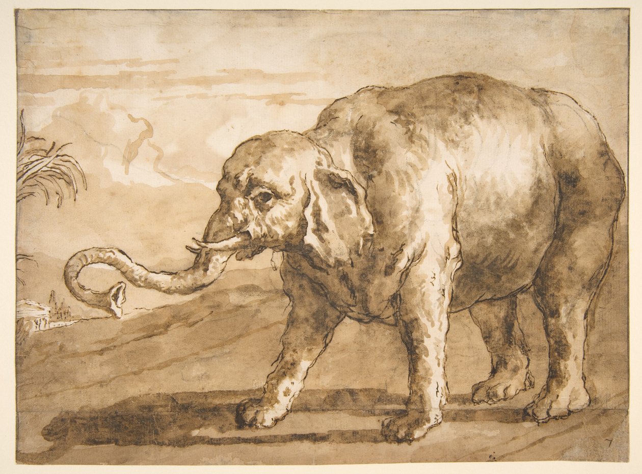Slon v krajině od Giovanni Domenico Tiepolo