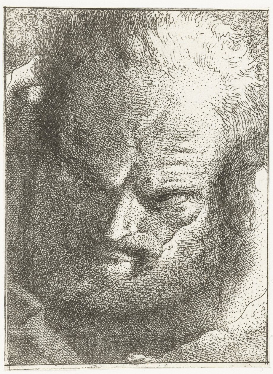 Muž se dívá dolů Sbírka hlav (název série) Raccolta di Teste (název série) od Giovanni Domenico Tiepolo