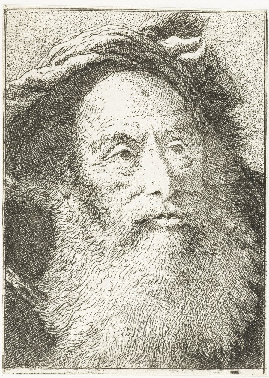 muž s plnovousem Sbírka hlav (název série) Raccolta di Teste (název série) od Giovanni Domenico Tiepolo