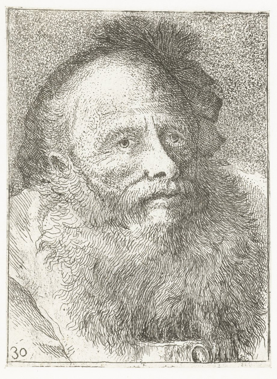 Muž s plnovousem a pokrývkou hlavy s peřím Sbírka hlav (název série) Raccolta di Teste (název série) od Giovanni Domenico Tiepolo