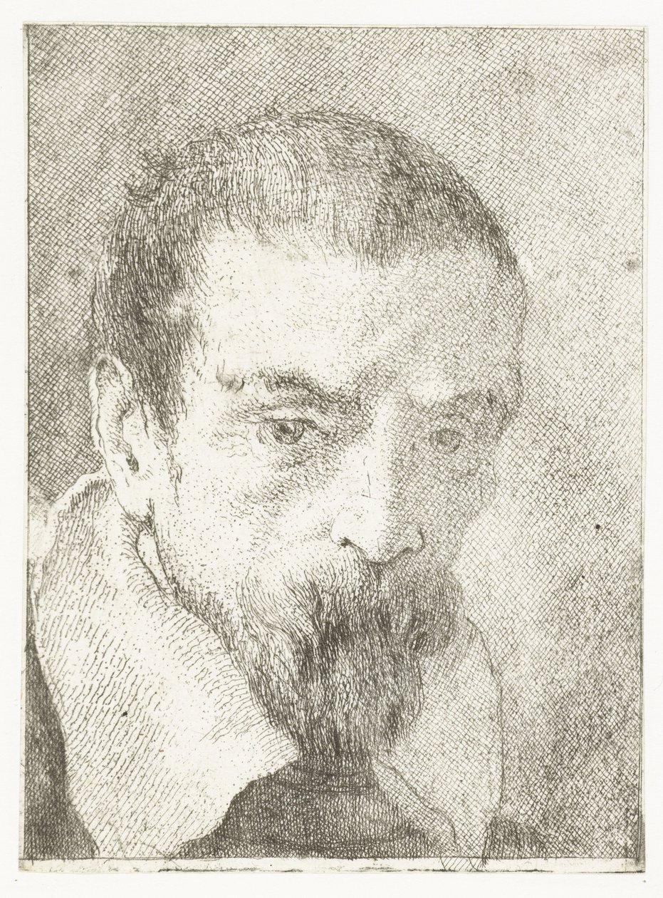 Muž s malým vousem bez pokrývky hlavy Sbírka hlav (název série) Raccolta di Teste (název série) od Giovanni Domenico Tiepolo
