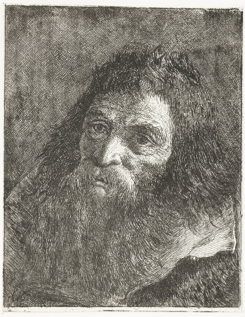 Muž s dlouhými vlasy a vousy od Giovanni Domenico Tiepolo