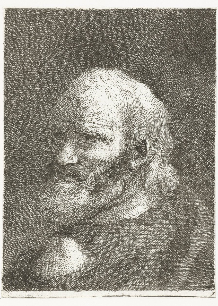 Muž s holým ramenem Sbírka hlav (název série) Raccolta di Teste (název série) od Giovanni Domenico Tiepolo