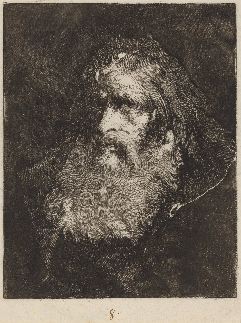 Starý muž s holou hlavou od Giovanni Domenico Tiepolo
