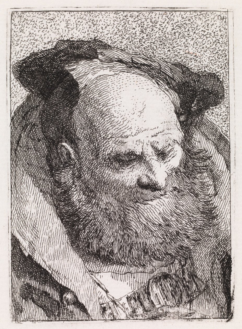 Starý muž s vousy od Giovanni Domenico Tiepolo