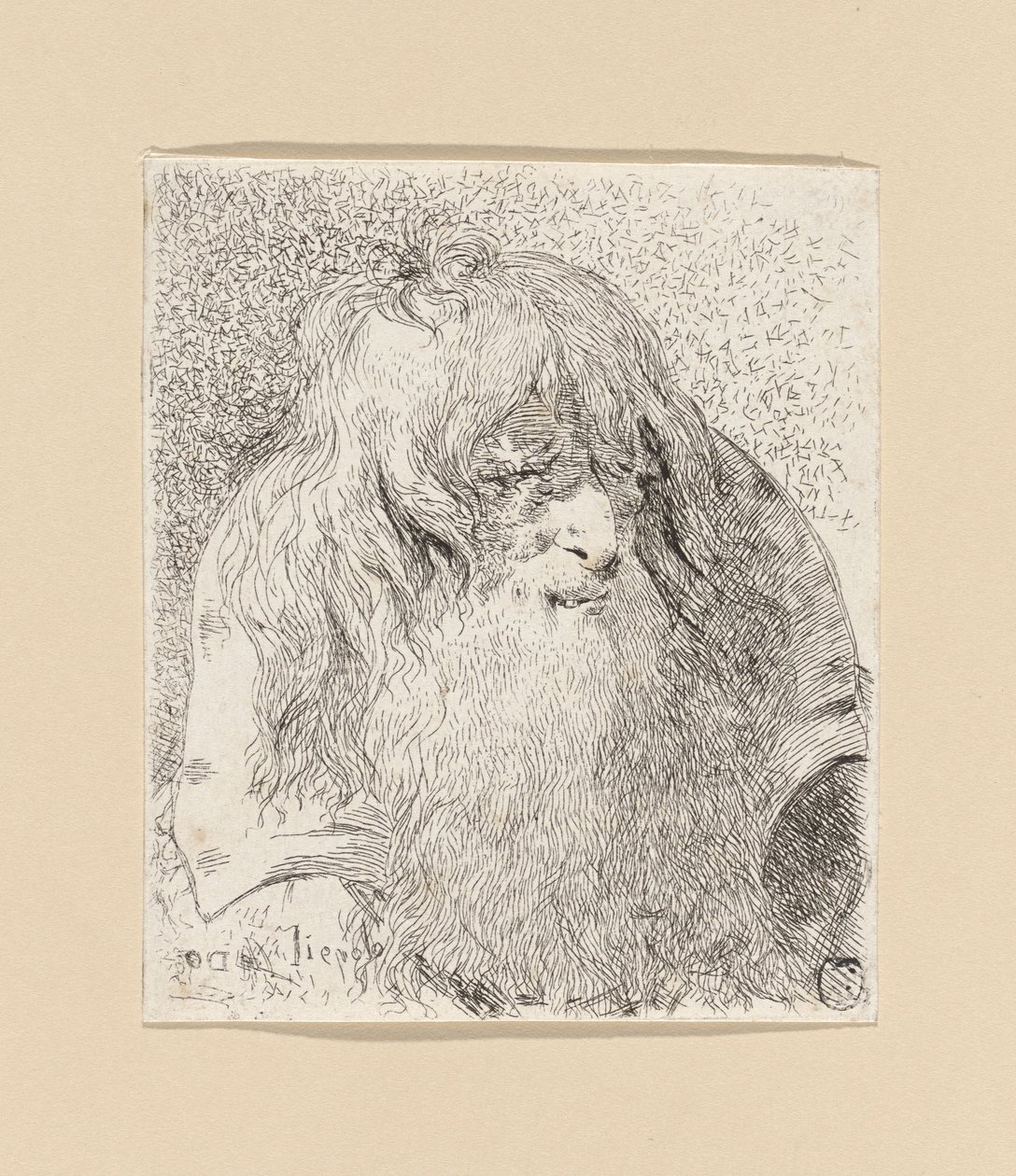 Stařec s vousy a dlouhými vlasy, z díla „Raccolta di Teste“ (Sbírka hlav) od Giovanni Domenico Tiepolo