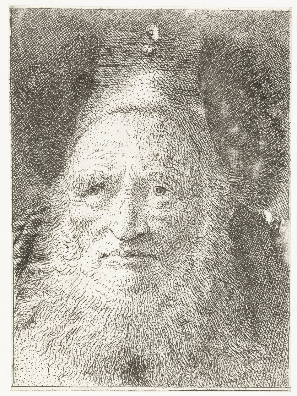 Starý muž s kožešinovou čepicí Sbírka hlav (název série) Raccolta di Teste (název série) od Giovanni Domenico Tiepolo