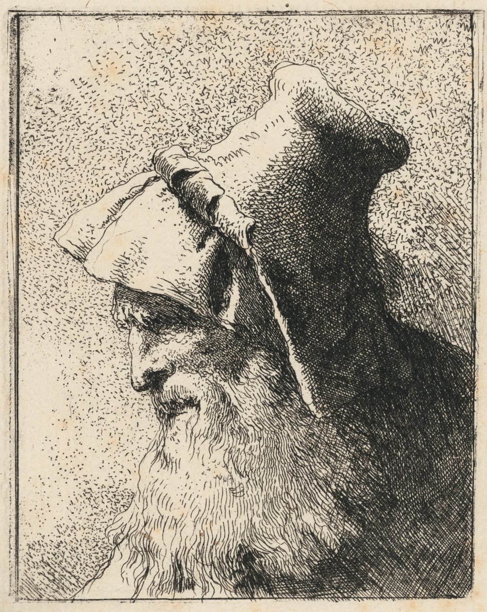 Profil starého muže s plnovousem od Giovanni Domenico Tiepolo