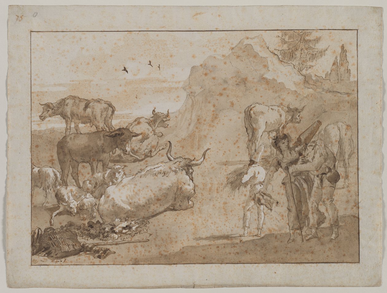 Ovce a krávy od Giovanni Domenico Tiepolo