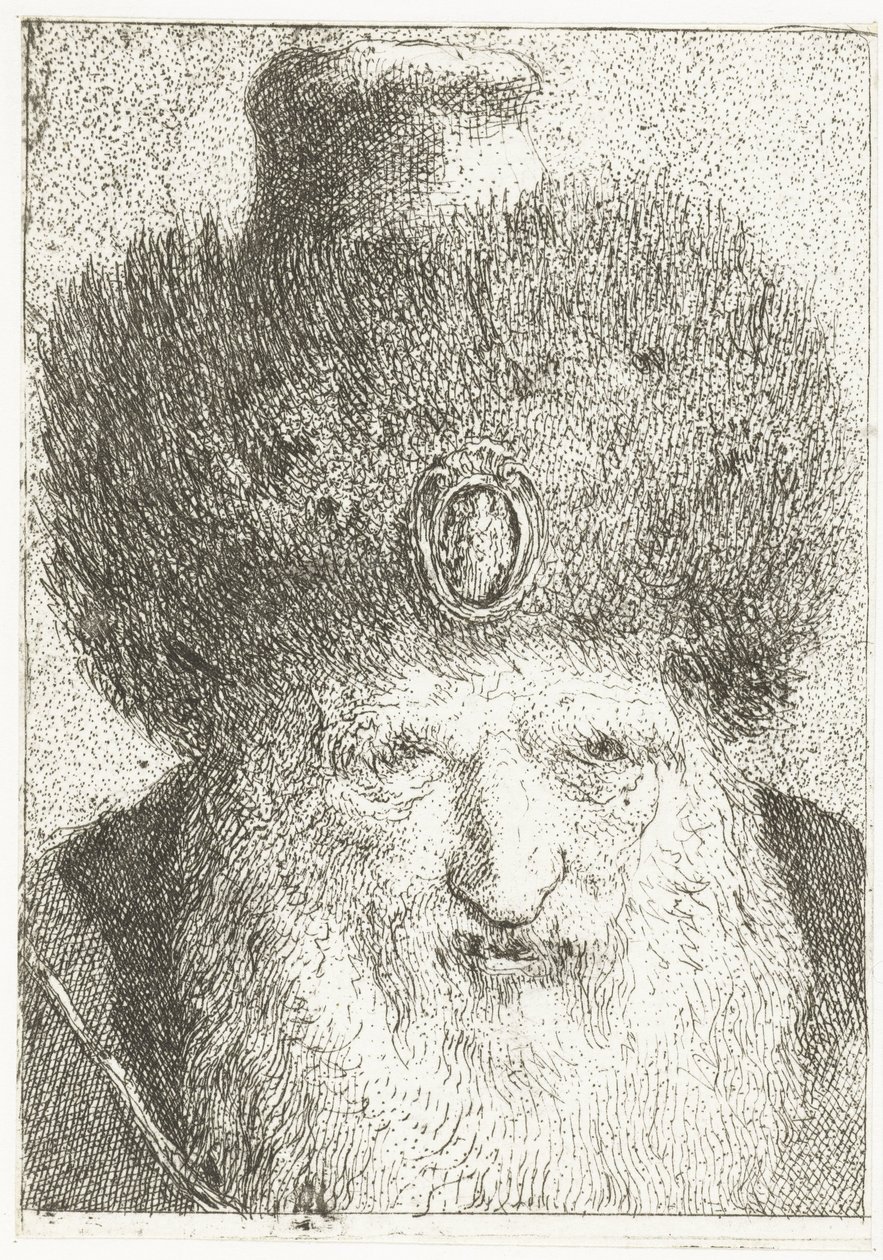 Turecký muž s kožešinovou čepicí Sbírka hlav (název série) Raccolta di Teste (název série) od Giovanni Domenico Tiepolo