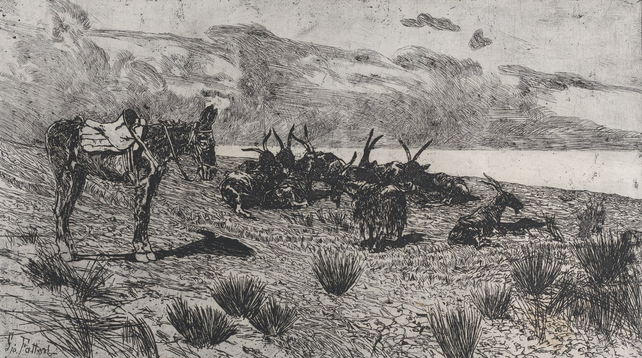 Osel a kozy na mořském pobřeží v zimě, 1884-1908. od Giovanni Fattori