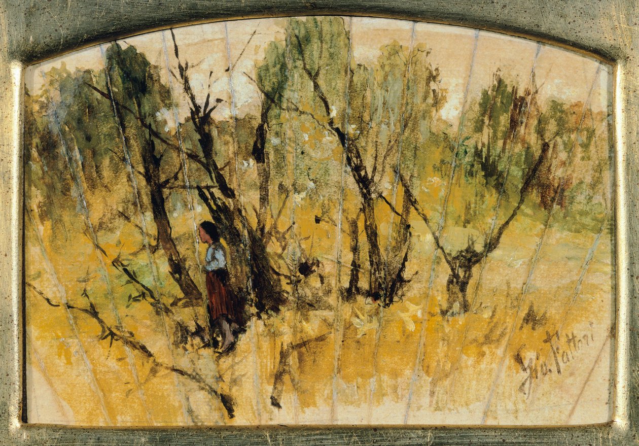 Les s postavou, Studie vějíře, Giovanni Fattori, olej, papír na plátně od Giovanni Fattori