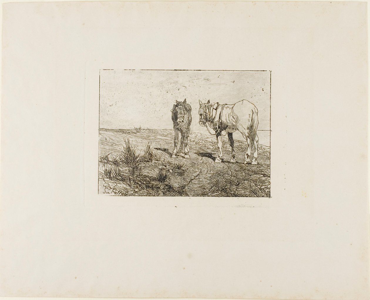 Odpočinek koní od Giovanni Fattori