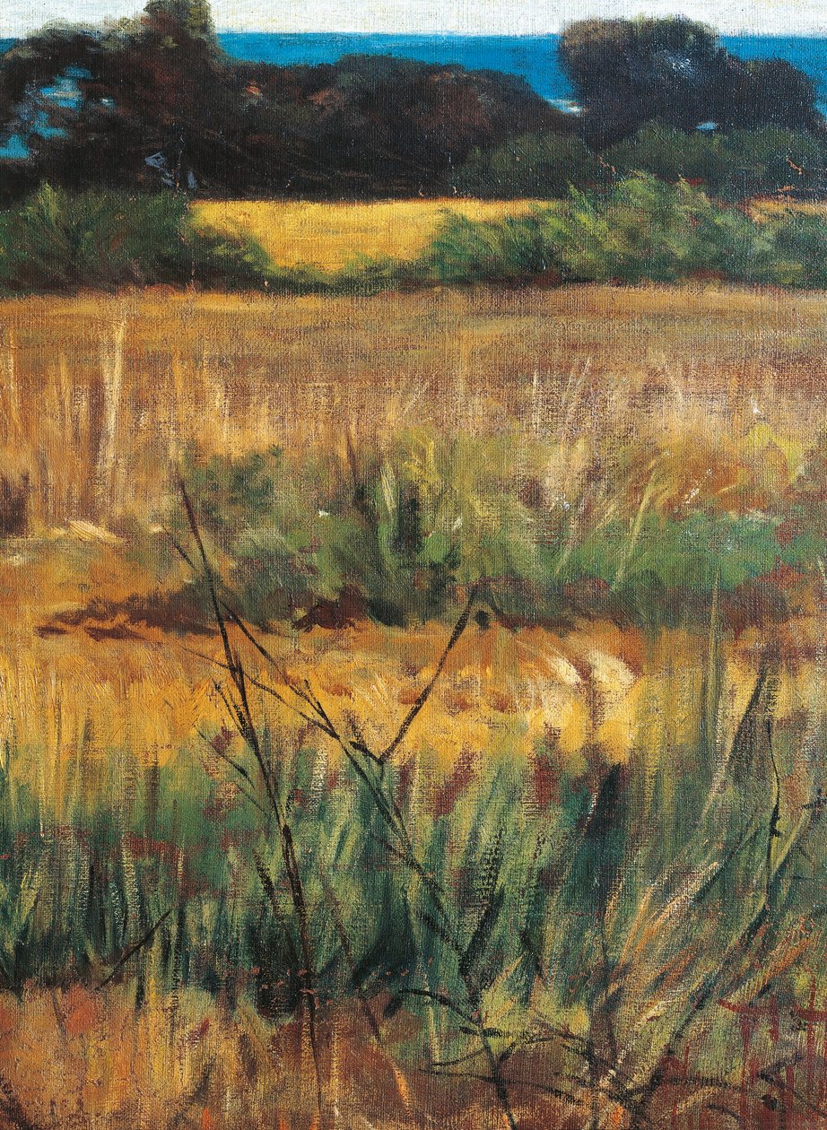 Itálie, Florencie, Maremma Toscana, cca 1894, detail od Giovanni Fattori