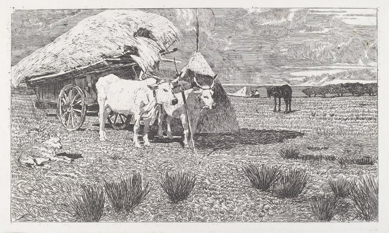 Voly zapřažené do vozu (Maremma) od Giovanni Fattori