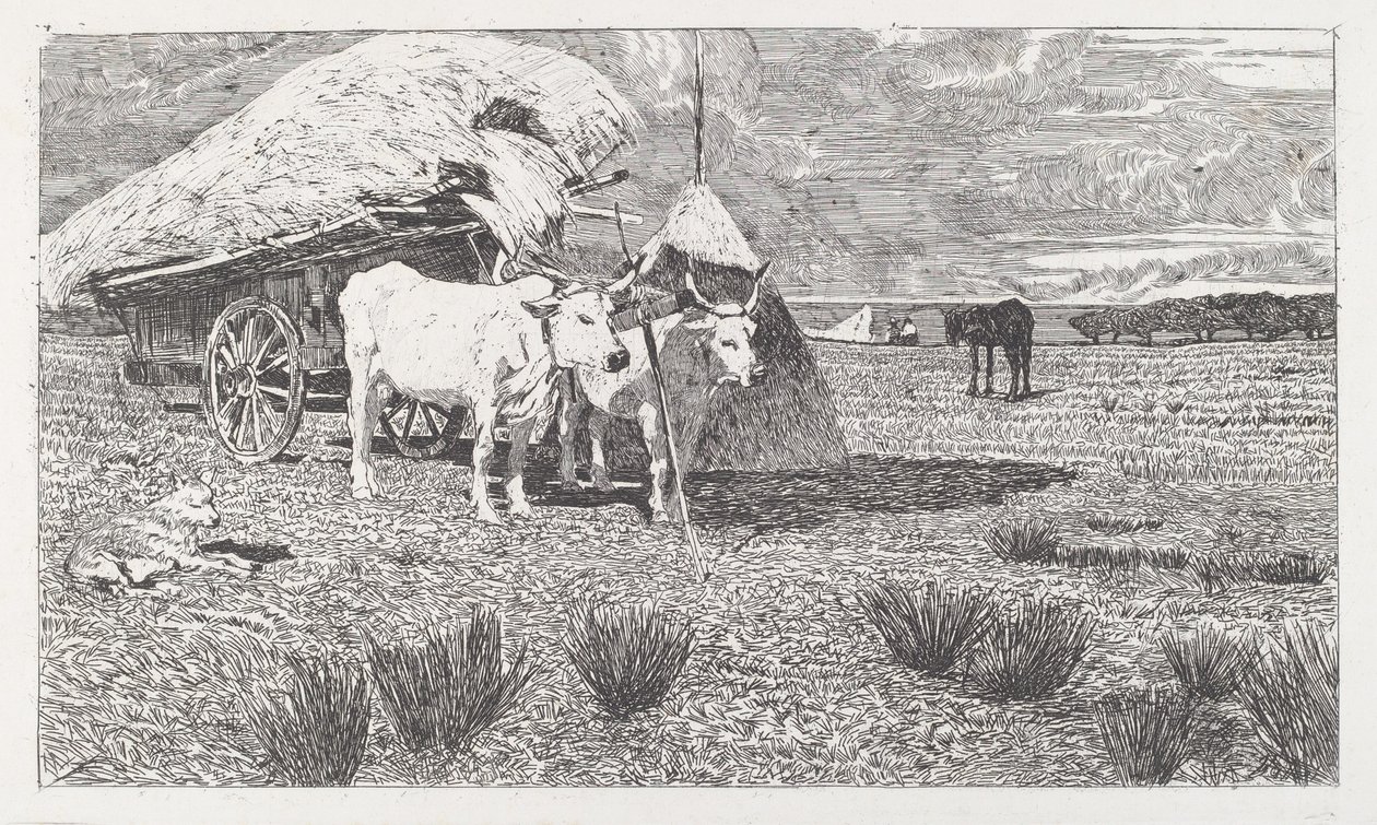 Voli zapřaženi do povozu (Maremma) [Bovi al carro (Maremma)] od Giovanni Fattori